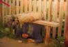 ������ ��� Dormidontych