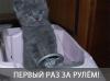 ������ ��� ������ �����